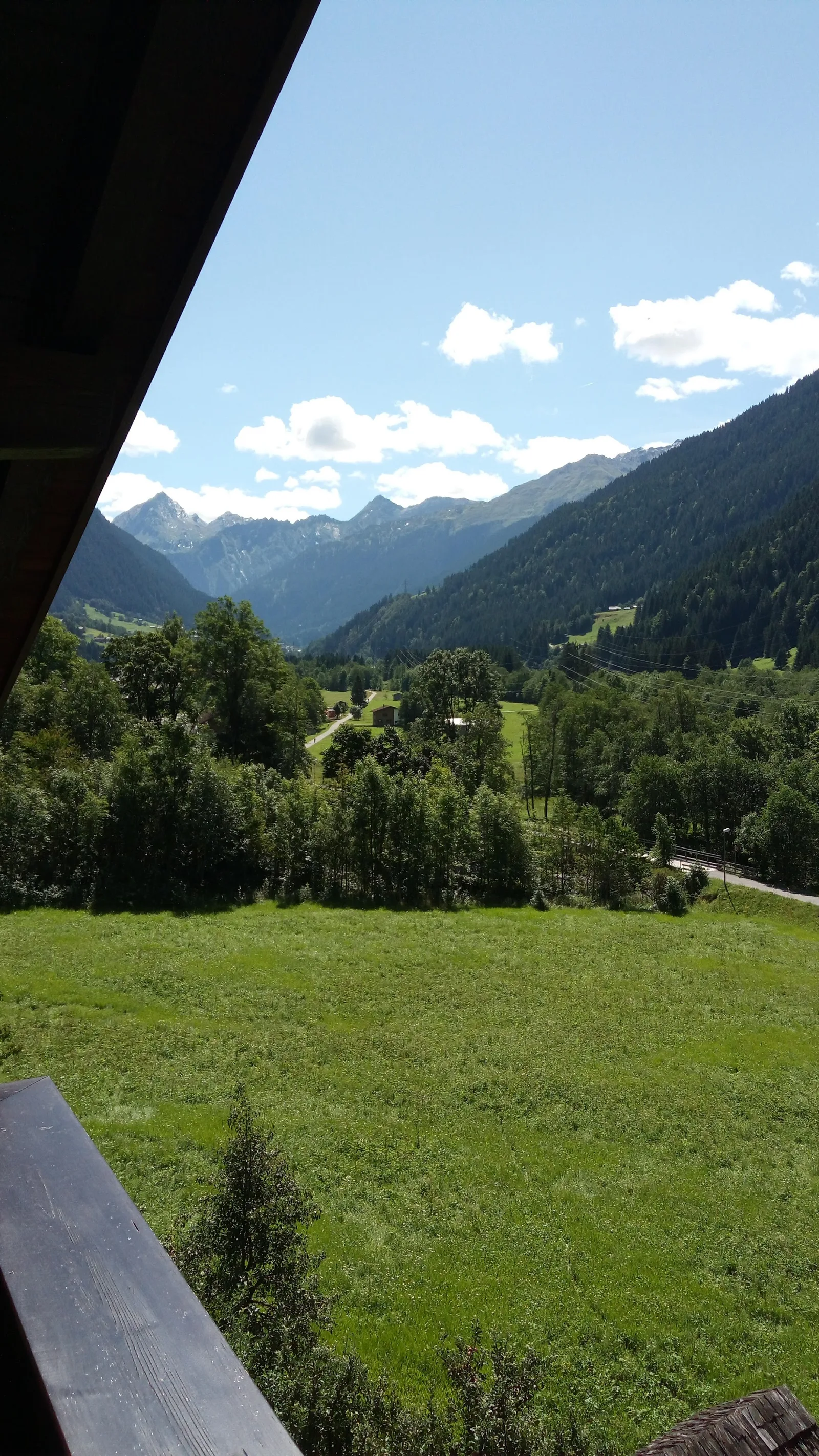 Blick vom Balkon über die Wiese ins Tal, dahinter die Berge im Sommer